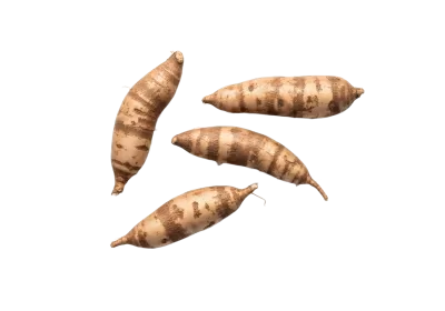 Imagen PNG para descargar